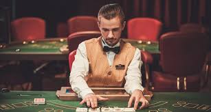 Как войти на сайт Casino Dragon Money